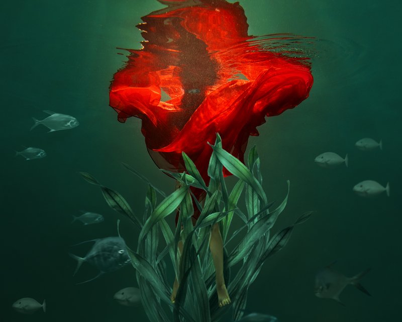 fine art, portrait, under water, green, red, flower, портрет, файн арт, красный цветок, вода, под водой Red flowerphoto preview