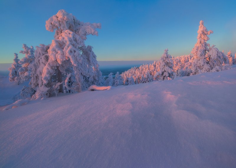 Winters in the Arctic. фото превью