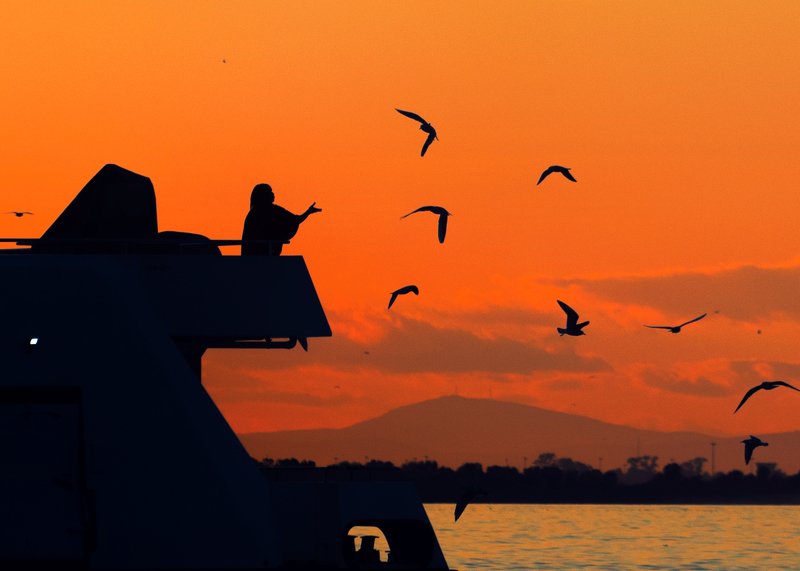 street,photography,izmir,sunset,silhouette evening at izmirphoto preview