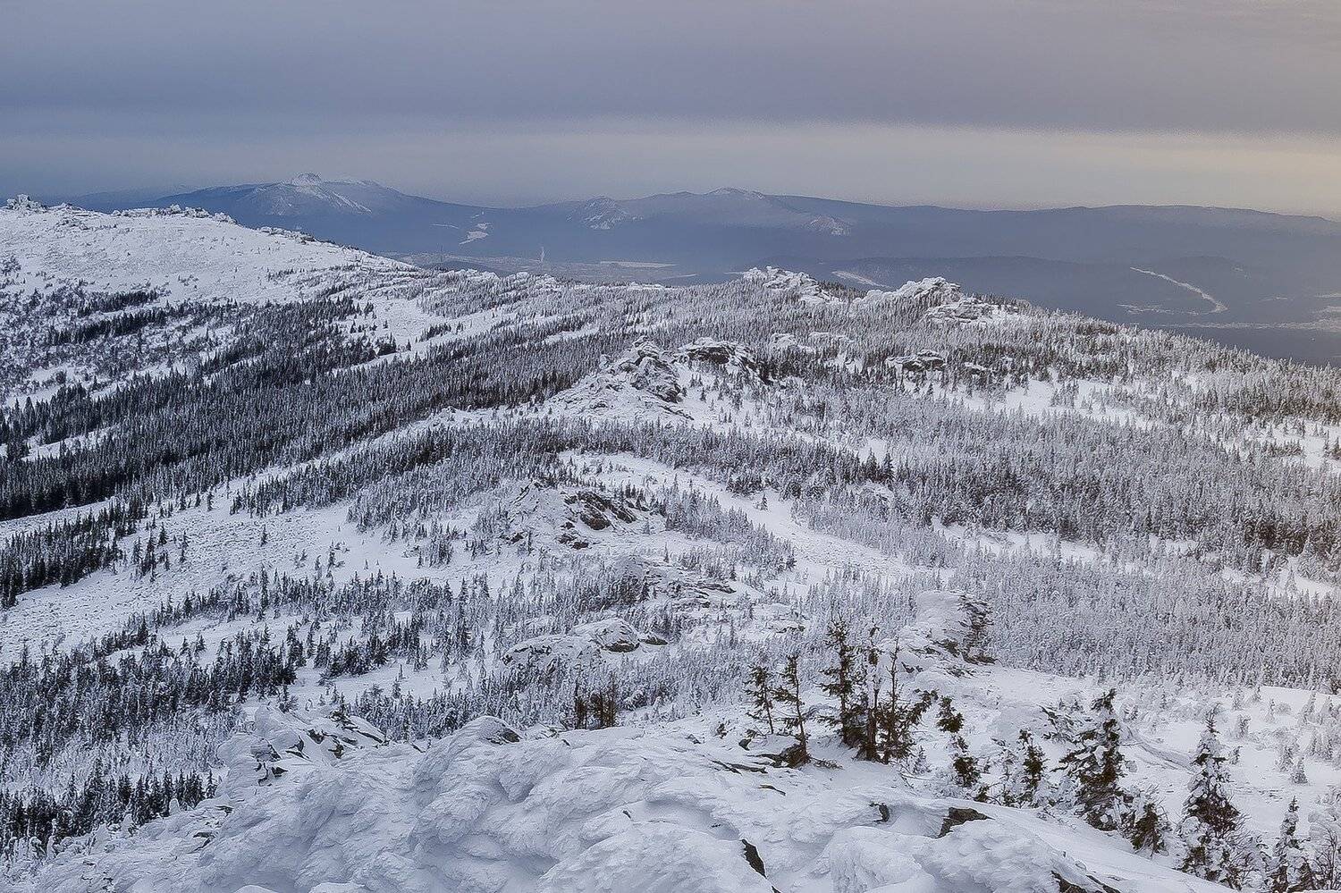 , Андрей Шарапов