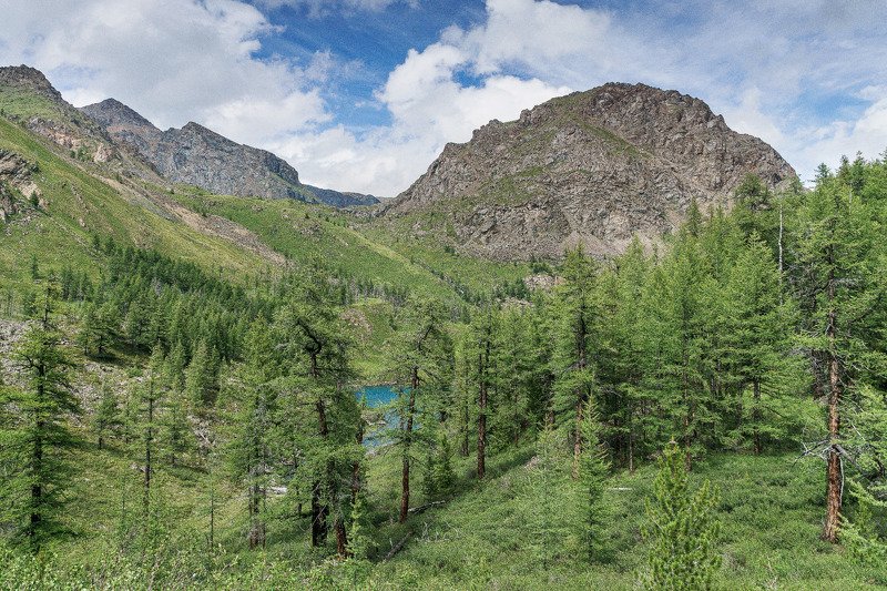 горы, лето, озеро, Горный Алтай Горное озеро.photo preview