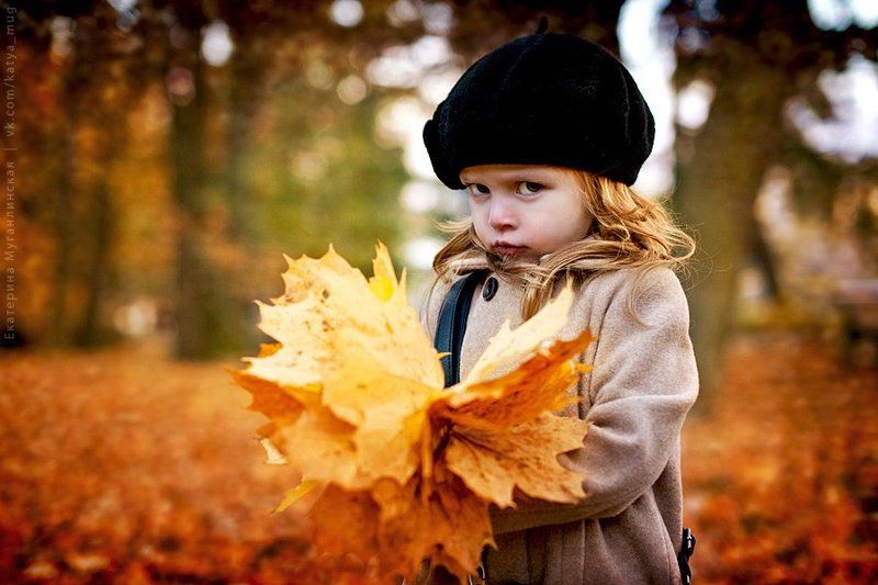 Осенний лучикphoto preview