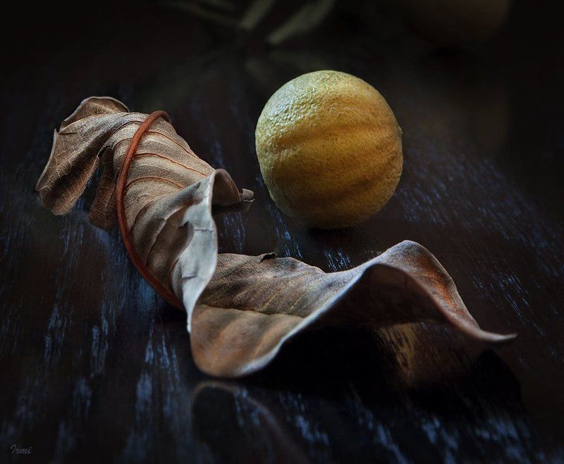 плод, лист Плод и Лист!photo preview