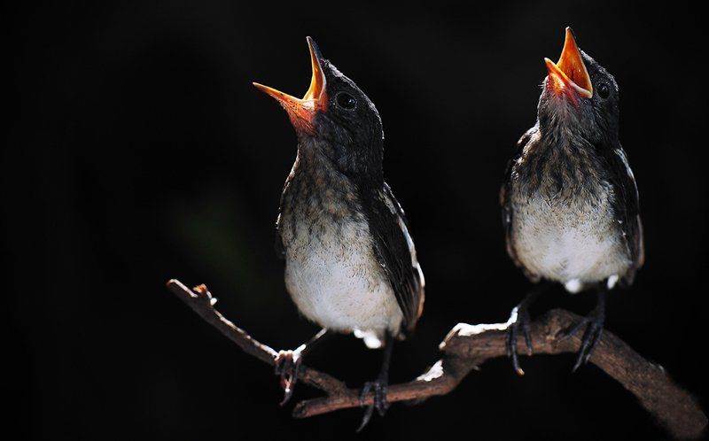 текст песниphoto preview