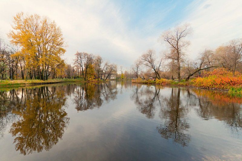 Полуголое утроphoto preview