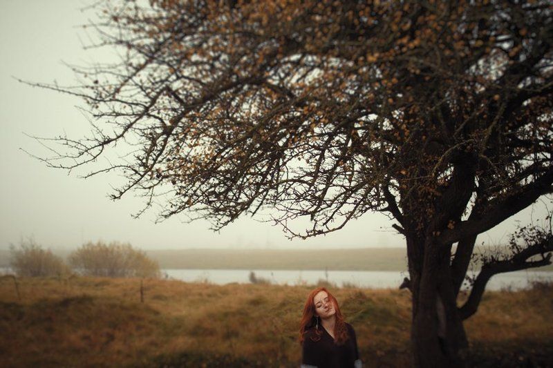 Autumn fellingphoto preview