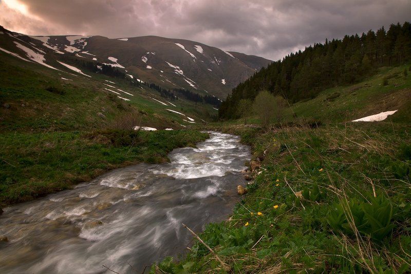 Убегающая ..photo preview