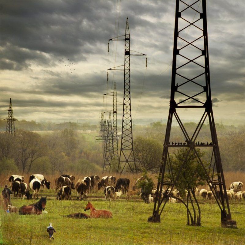 Evening fatteningphoto preview