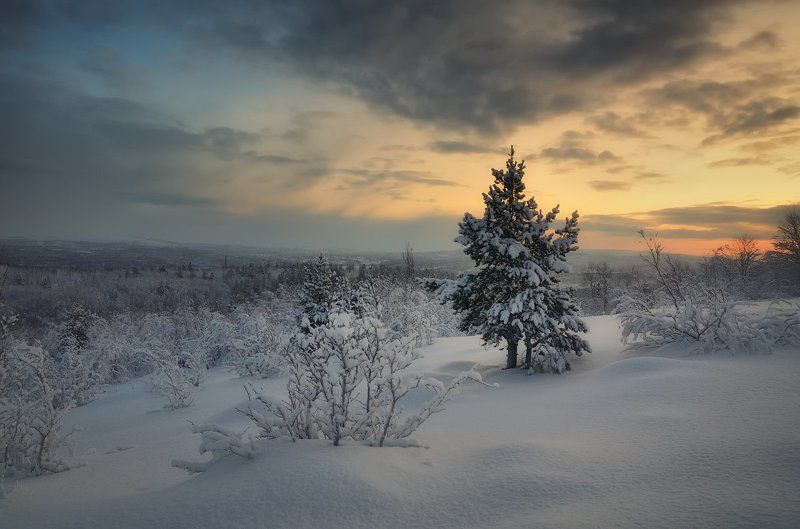 Ждем к выходным...photo preview