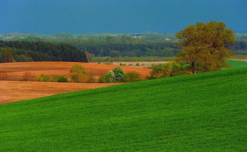 Lithuaniaphoto preview