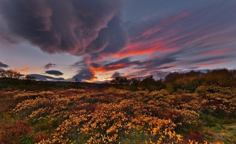 осенняя палитраphoto preview