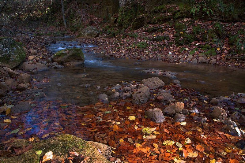 осень , мезмайка Про речку и осень...photo preview