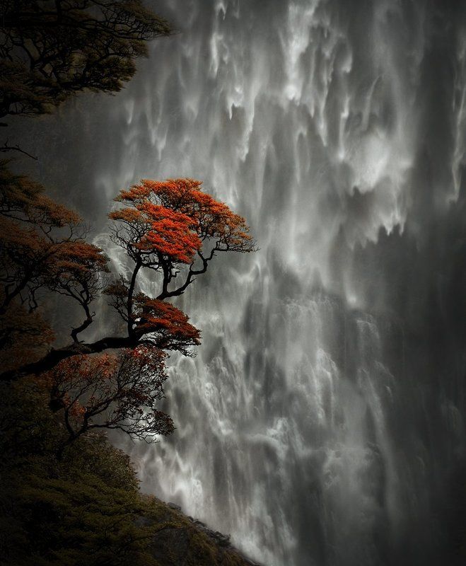 Devil\'s Punchbowl Falls, New Zealandphoto preview