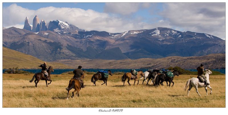 О гордых гаучо, грациозных гуанако и голубом глейсере...photo preview