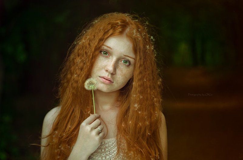 рыжие волосы, зеленые глаза, одуванчик the girl with dandelion hairphoto preview