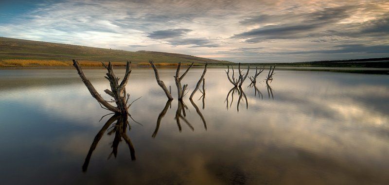 4 стадииphoto preview