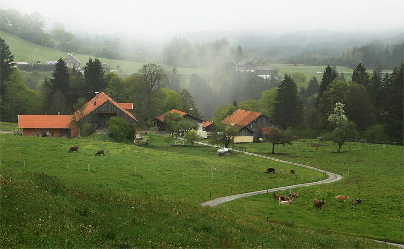 Баварский мотивphoto preview