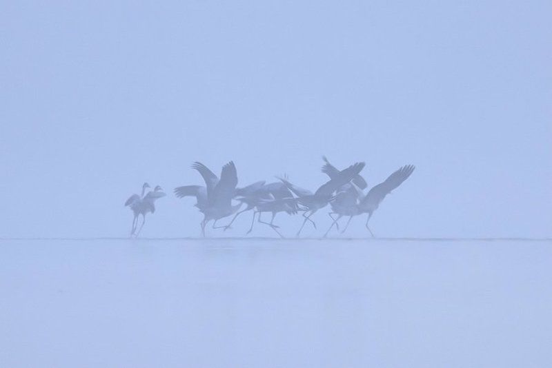 Departuresphoto preview