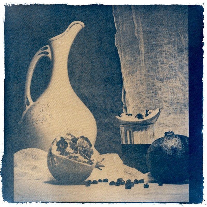 цианотип ***photo preview