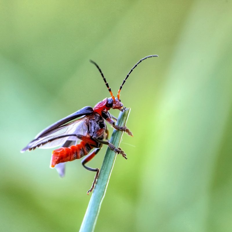 Кто здесь????photo preview