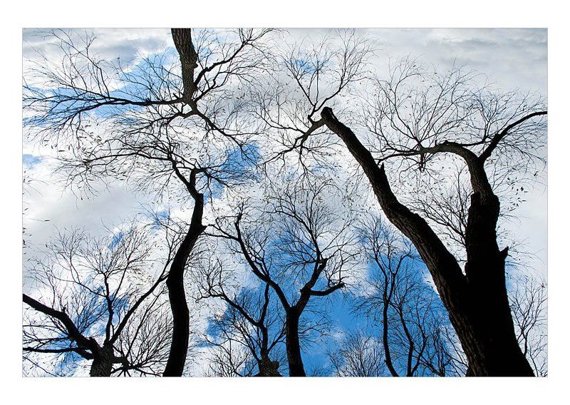 Небо на Землеphoto preview