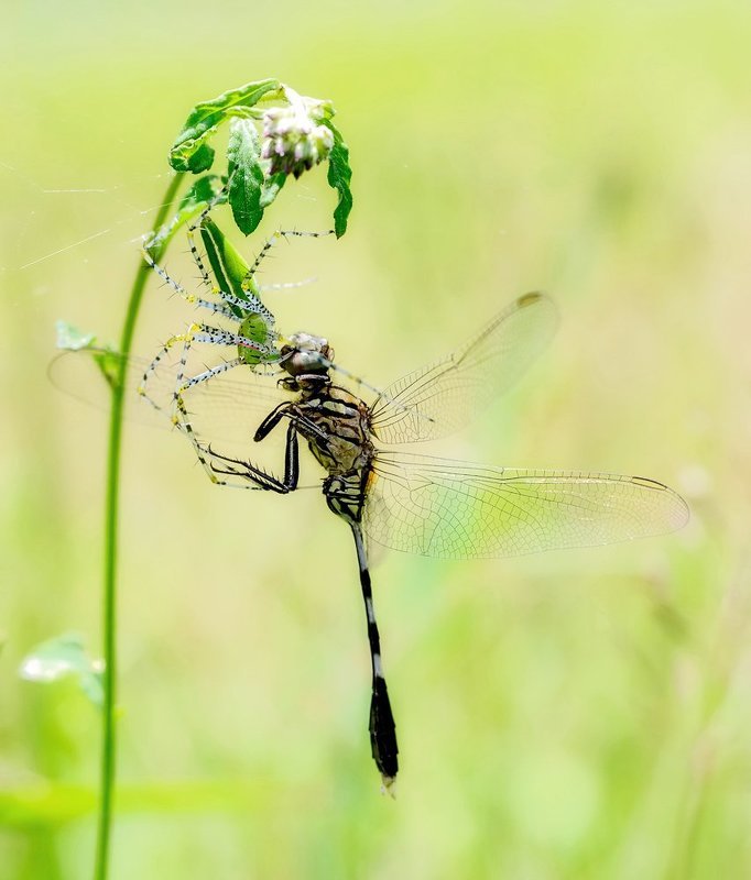 Последний поцелуй...photo preview
