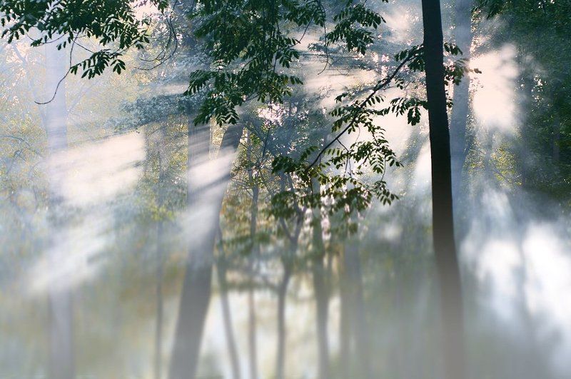 Абстрактные мотивыphoto preview