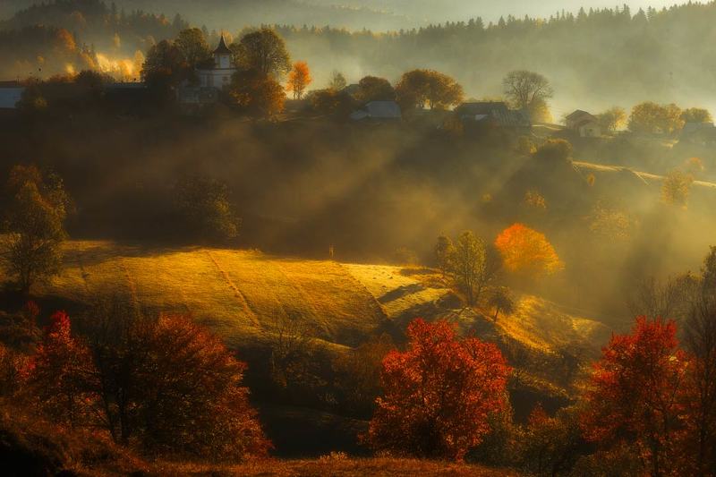 Foggy autumnphoto preview