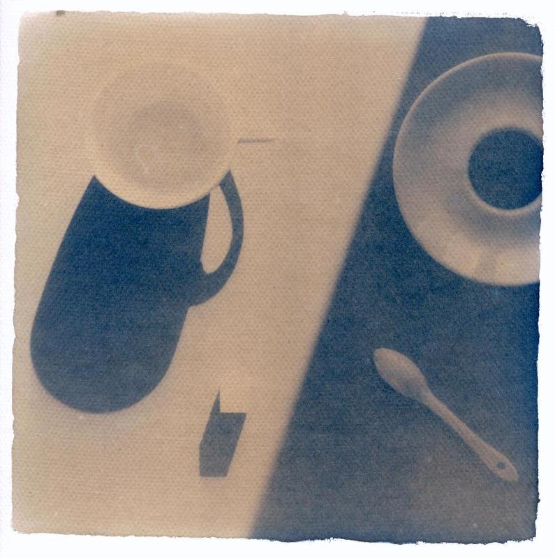 цианотип ***photo preview