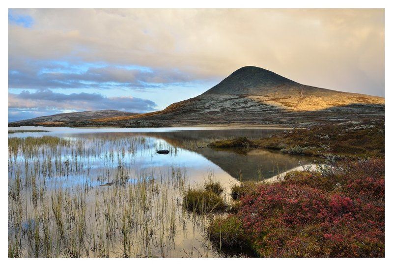 Муенphoto preview