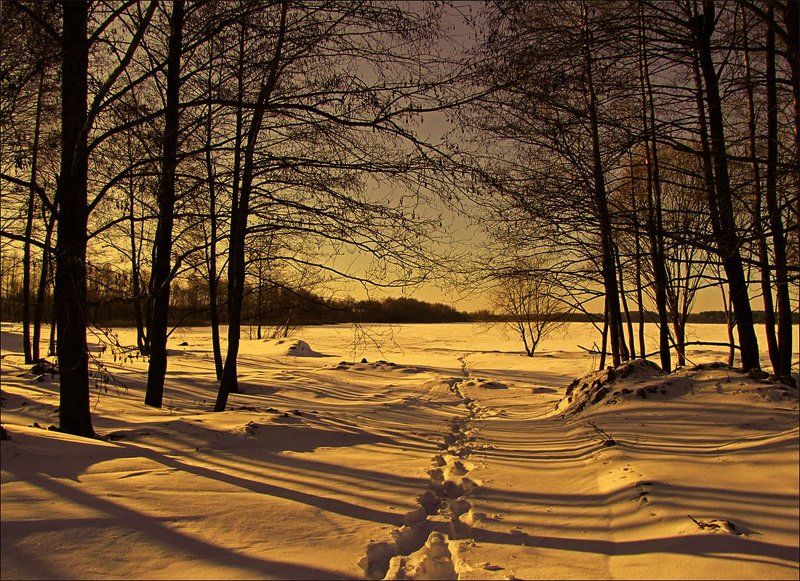 Тени на снегу... фото превью