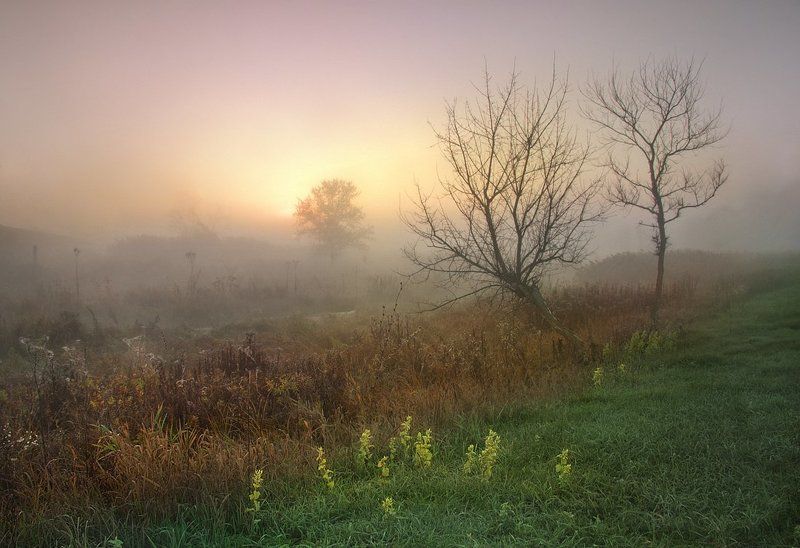 Туманное утроphoto preview