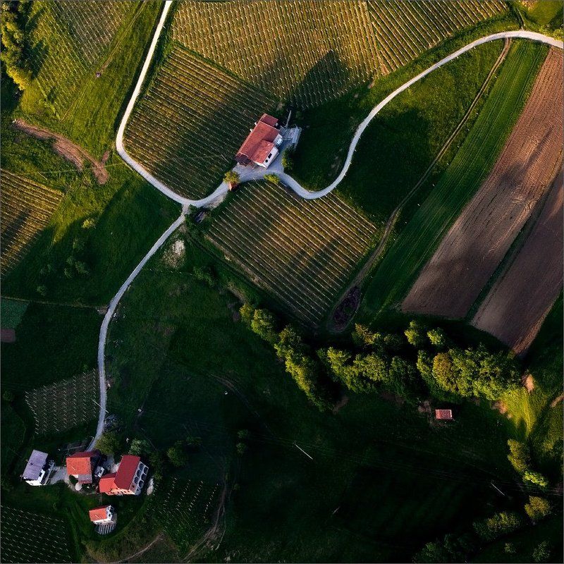 словения Диаметрическая проекцияphoto preview