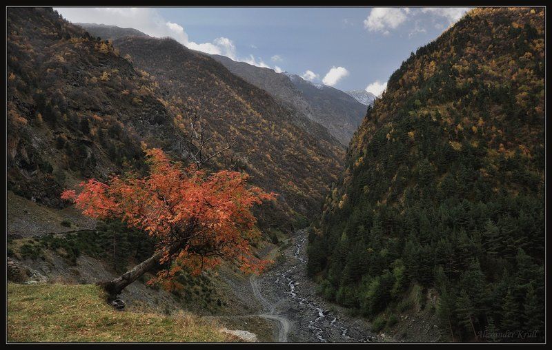 горы, осень, дагестан Жизнь на грани...photo preview
