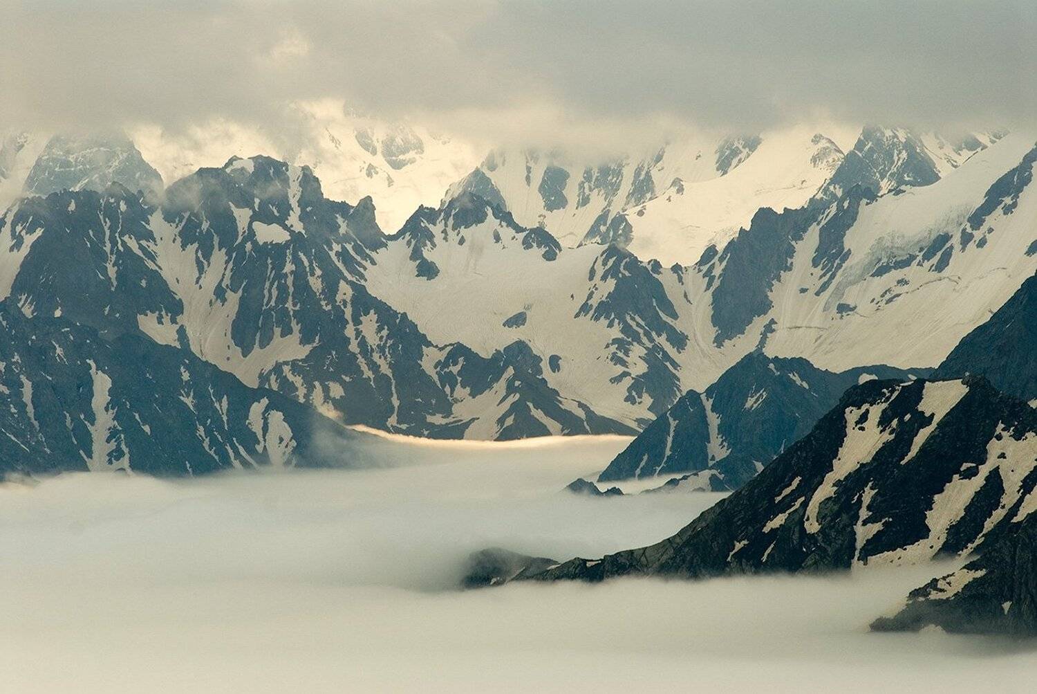 Молоко. Автор: Андрей , Андрей