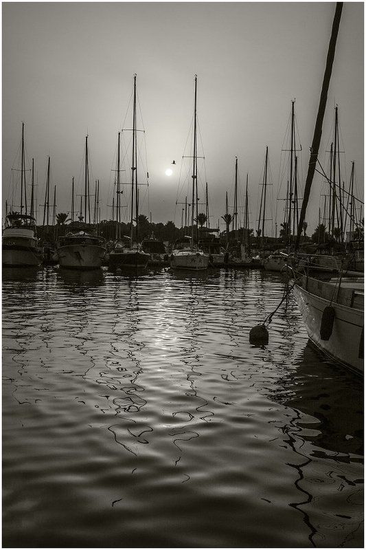 Пробуждениеphoto preview