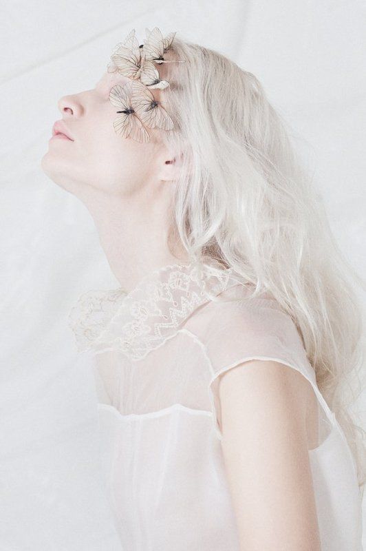 Butterfliesphoto preview