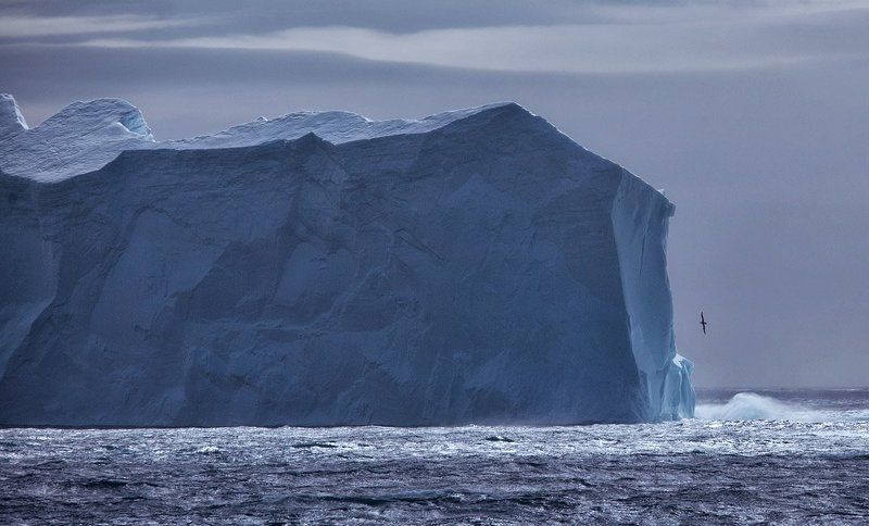 антарктика, георгия Южная Георгия 1photo preview