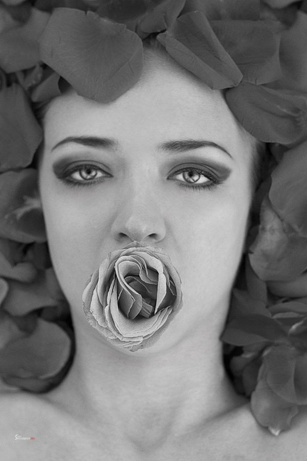 Dasha. Автор: Сергей Щербаков , Сергей Щербаков