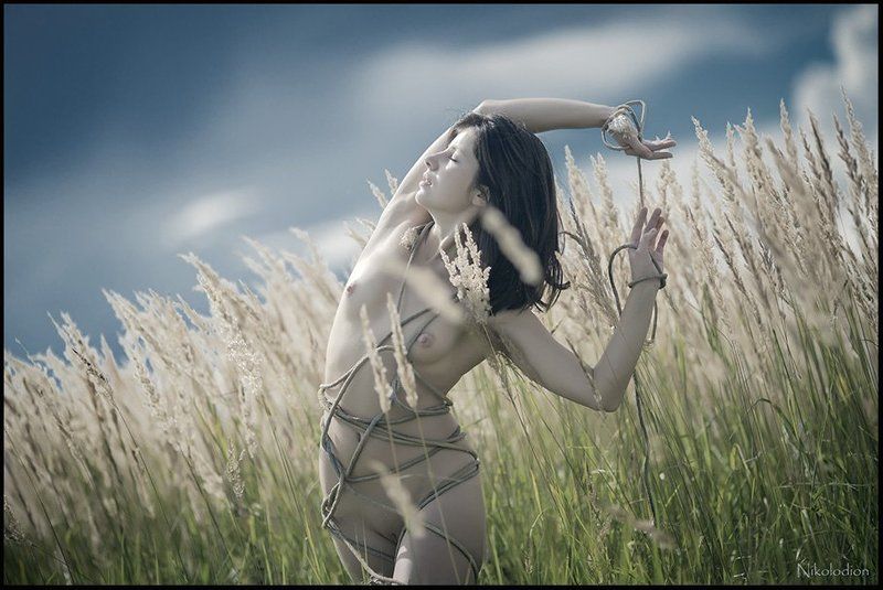 Притяжение небаphoto preview