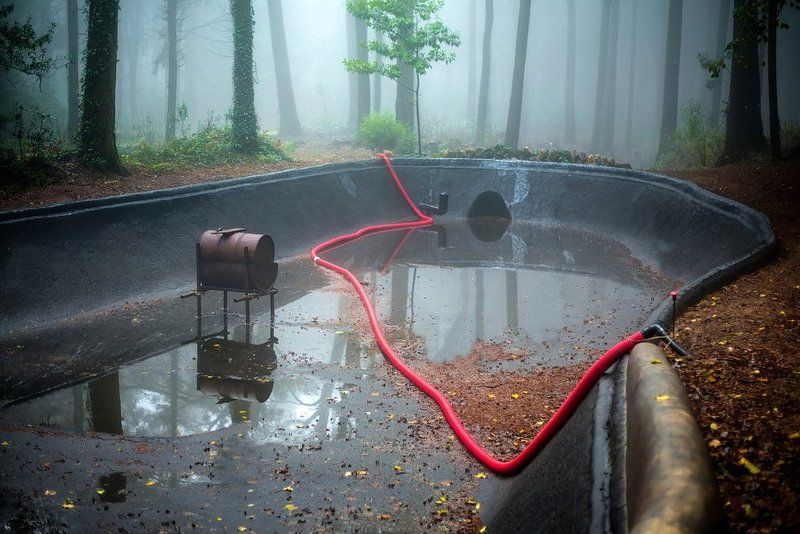 Swan Lake (Game Over)photo preview