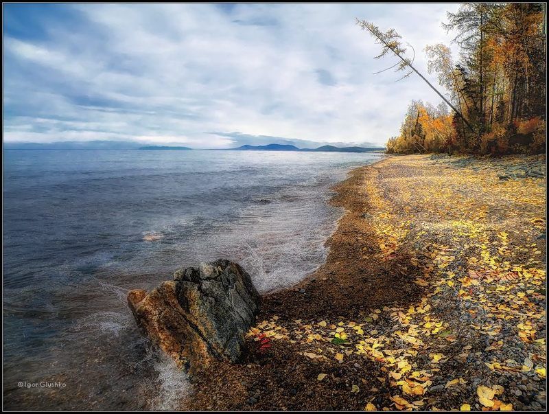 бурятия, байкал, осень, покрывало, берег, вода Осеннее покрывалоphoto preview