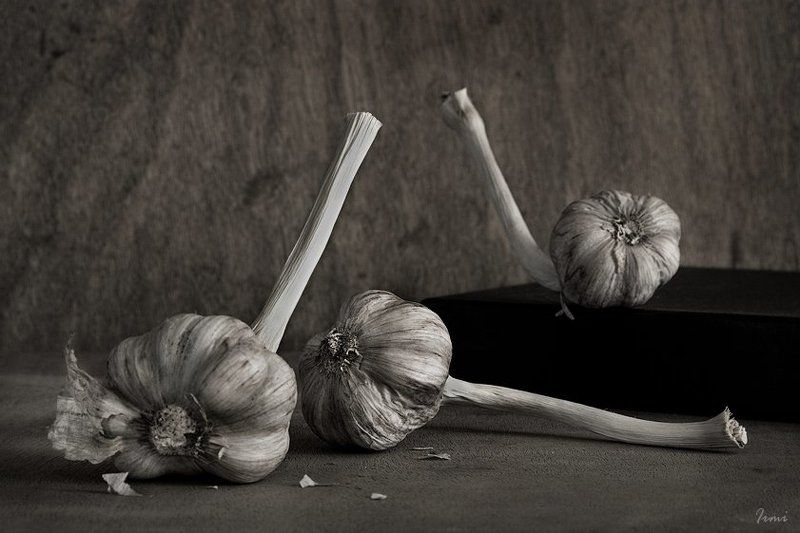 чеснок Танецphoto preview