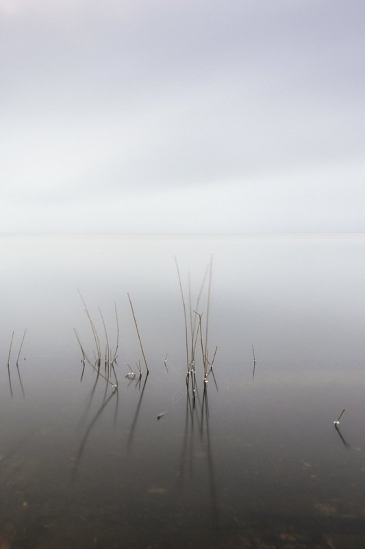 В тишинеphoto preview