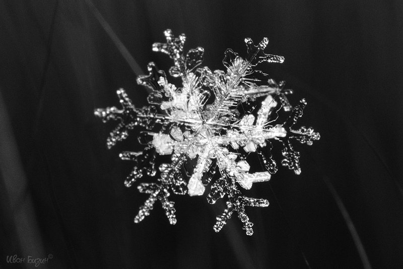 снег, снежинки, зима, макро, снежинка, лёд Снегphoto preview