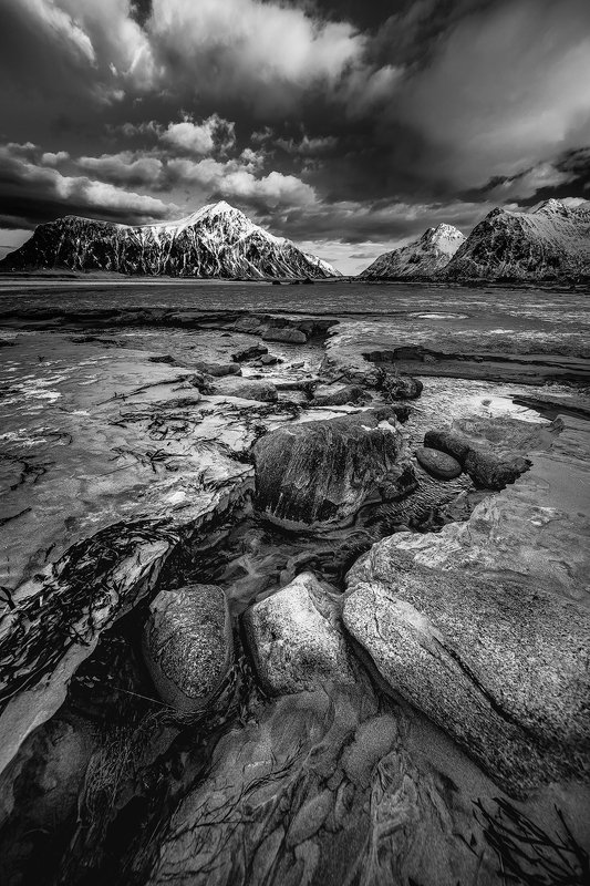 || The Norgephoto preview