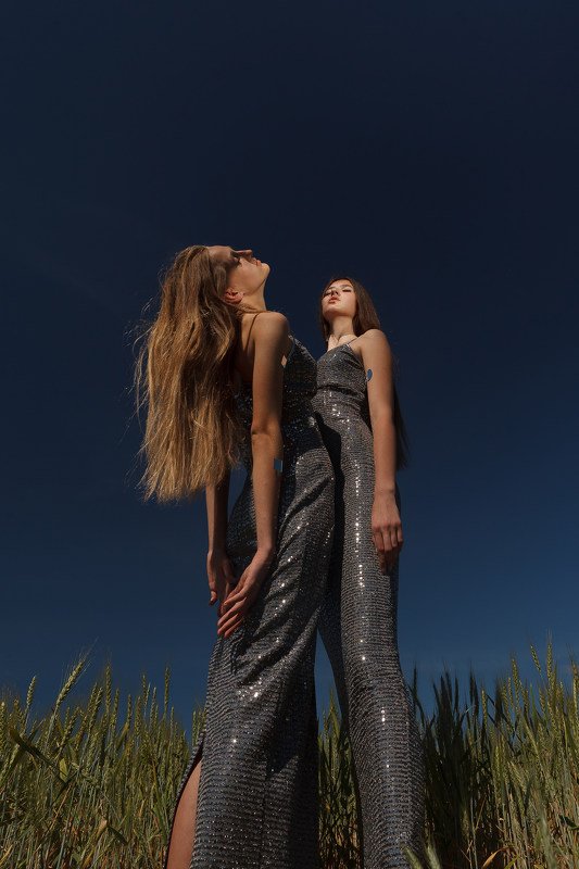 Revoicephoto preview