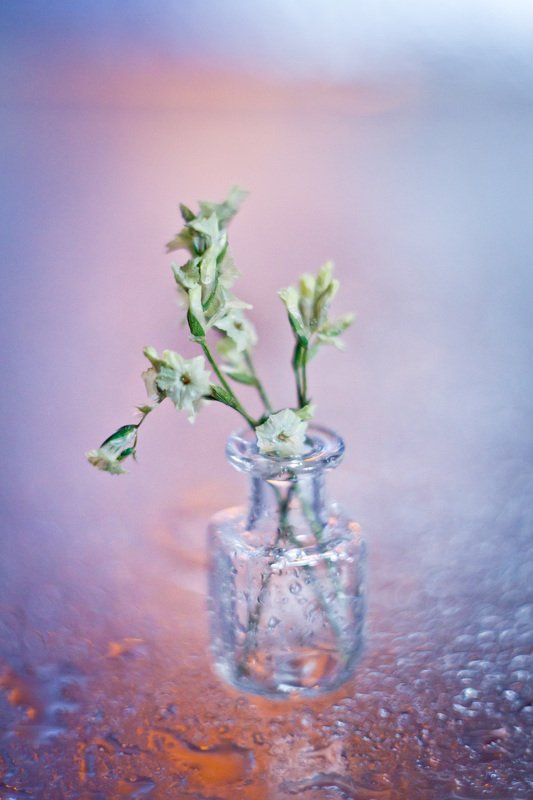 натюрморт, боке, прозрачный, закат, солнце, бутылка, стакан, стекло, красивый, прозрачный, блики, still life Закатные цветаphoto preview