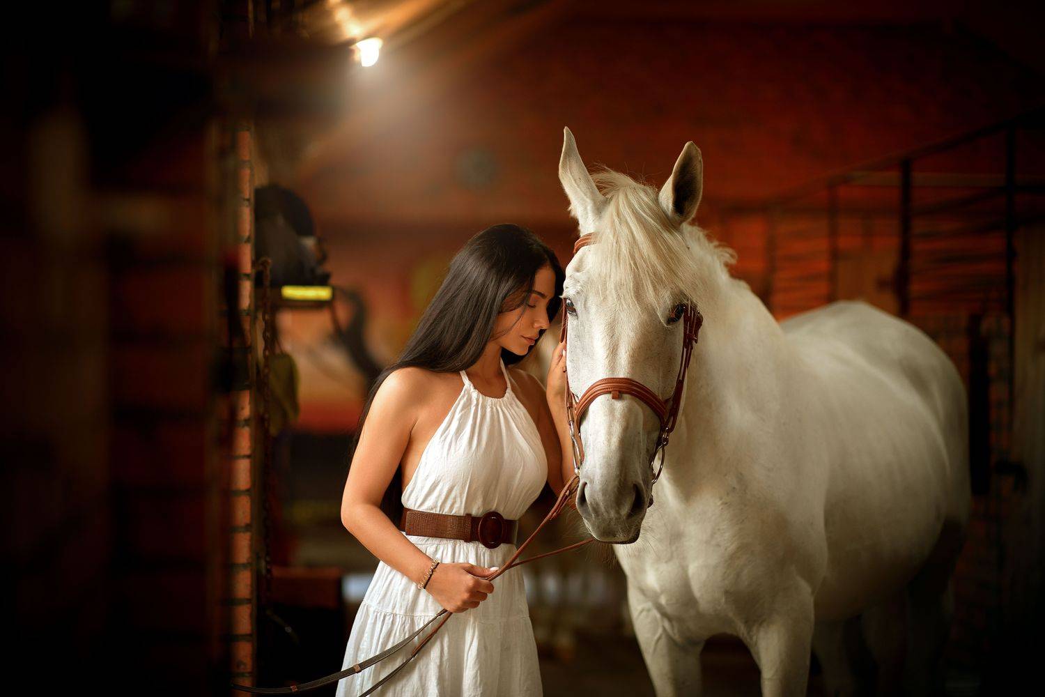 Тамара. Автор: Sargsyan Ando , Sargsyan Ando