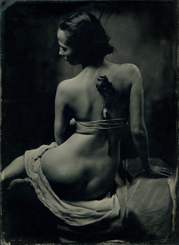 wetplate ambrotype девушка с розойphoto preview